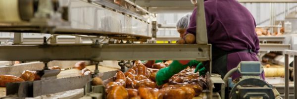 Woman cleaning potatoes in factory