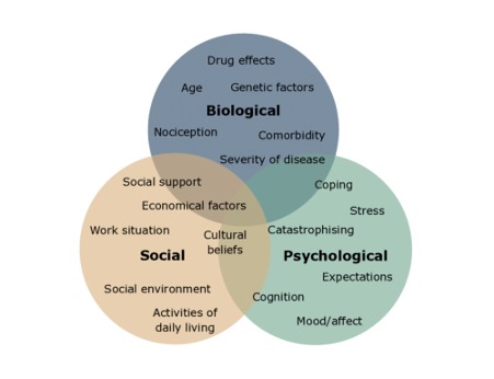 Chart explaining the biopsychosocial model of pain