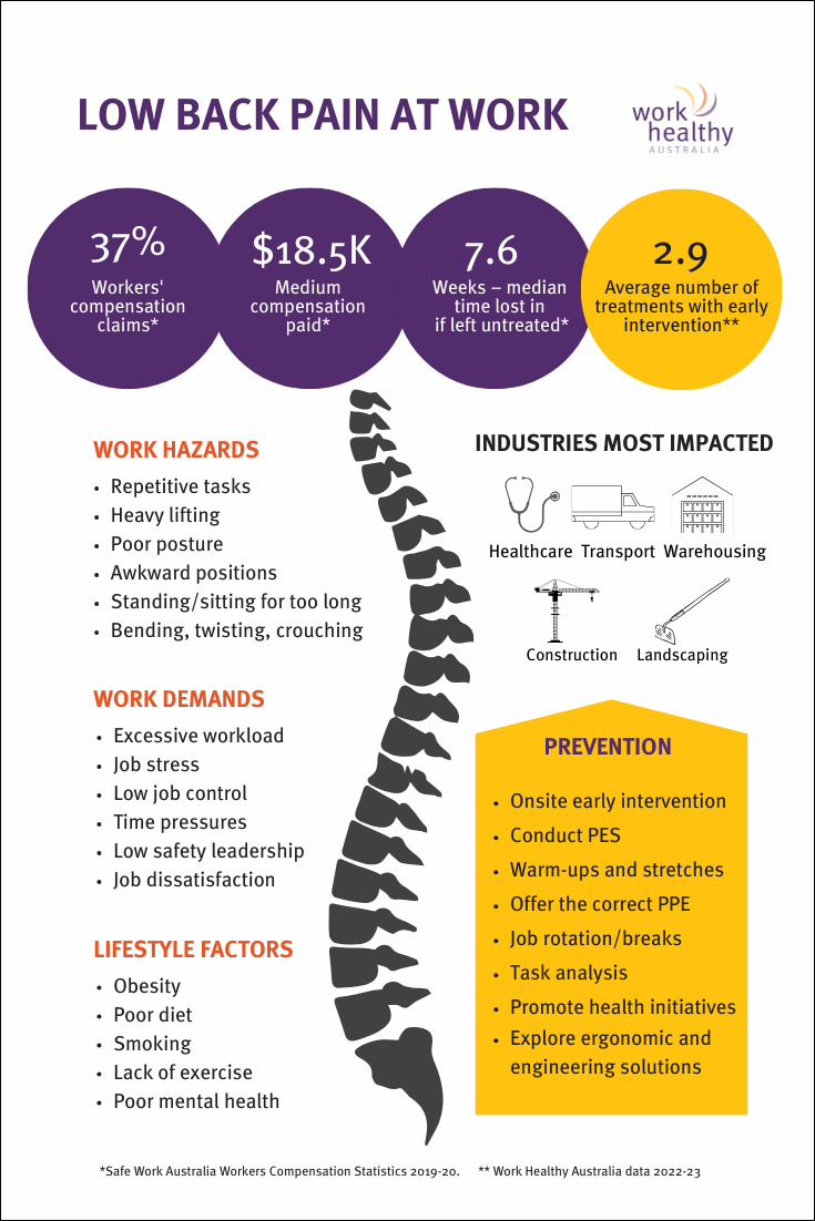 Low back pain infographic containing statistics and facts about low back pain.
