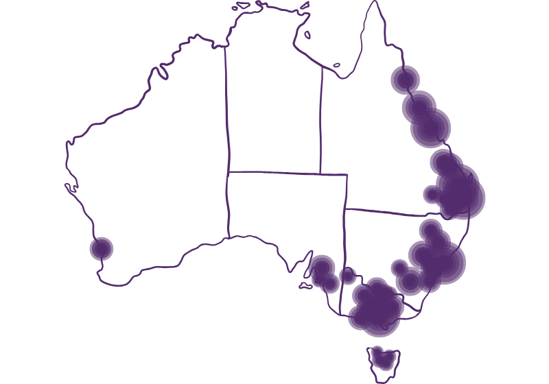 Service area map A map of Australia depicting the areas where Work Healthy Australia currently has clients. All capital cities on the east coast are highlighted, including regional areas in SA, NSW, Tas, Vic and QLD.